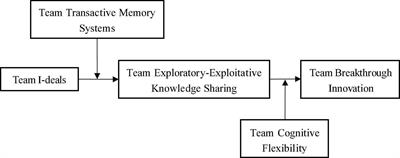 Team idiosyncratic deals and team breakthrough innovation: Based on the perspective of input-process-output model